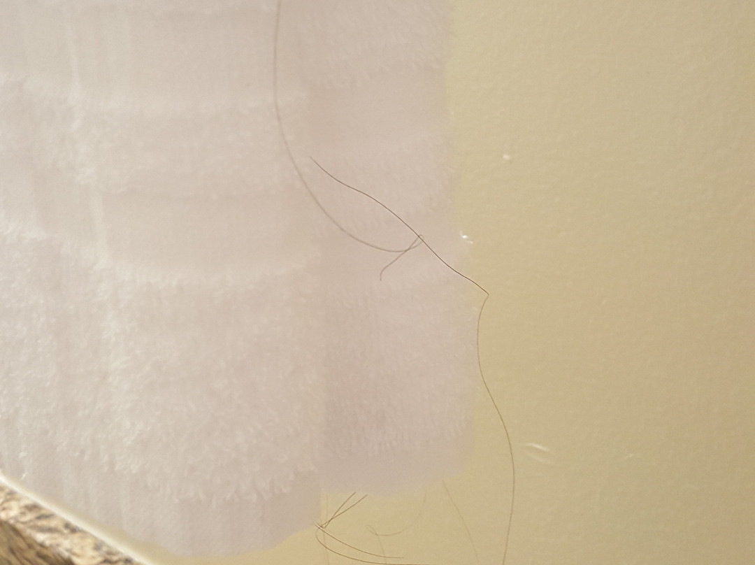 尤金大学旅馆&套房酒店主图