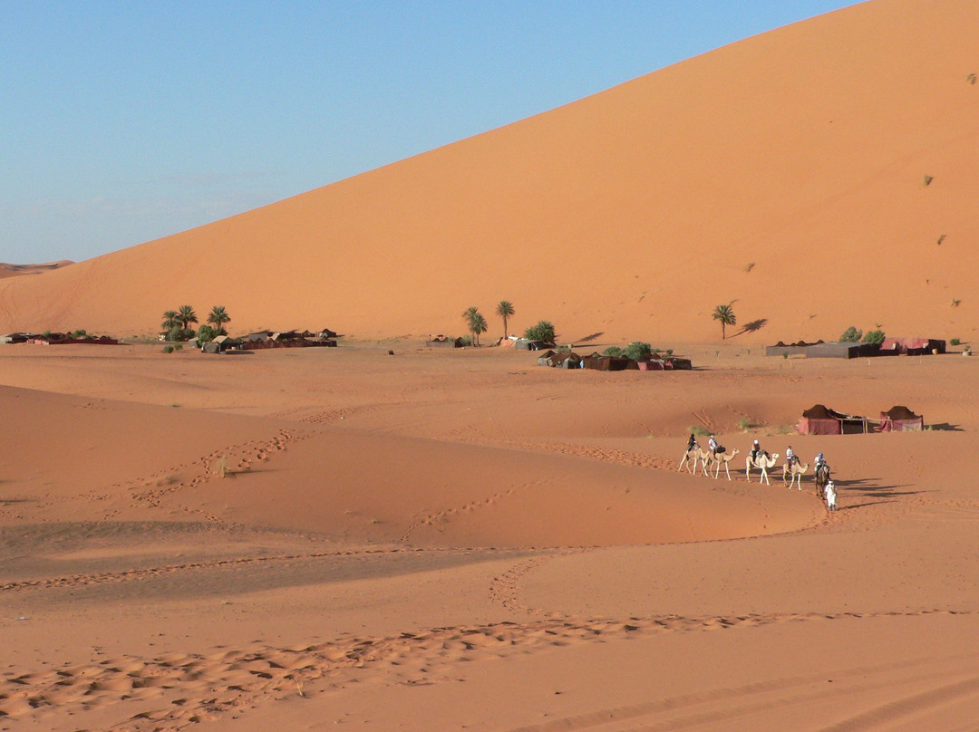 Your Desert Tours景点图片