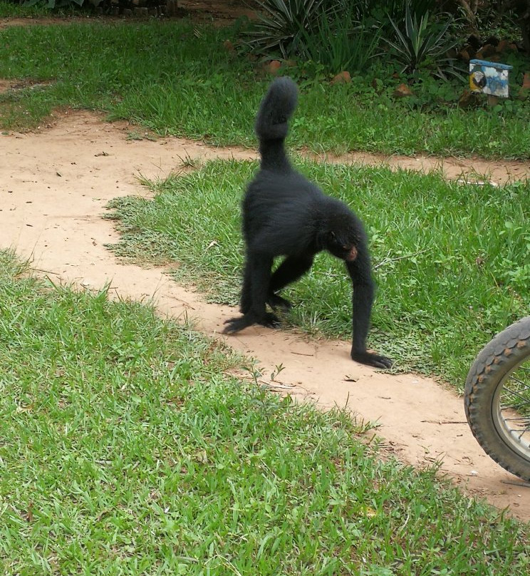 Refugio Zoologico-Samaipata必去景点