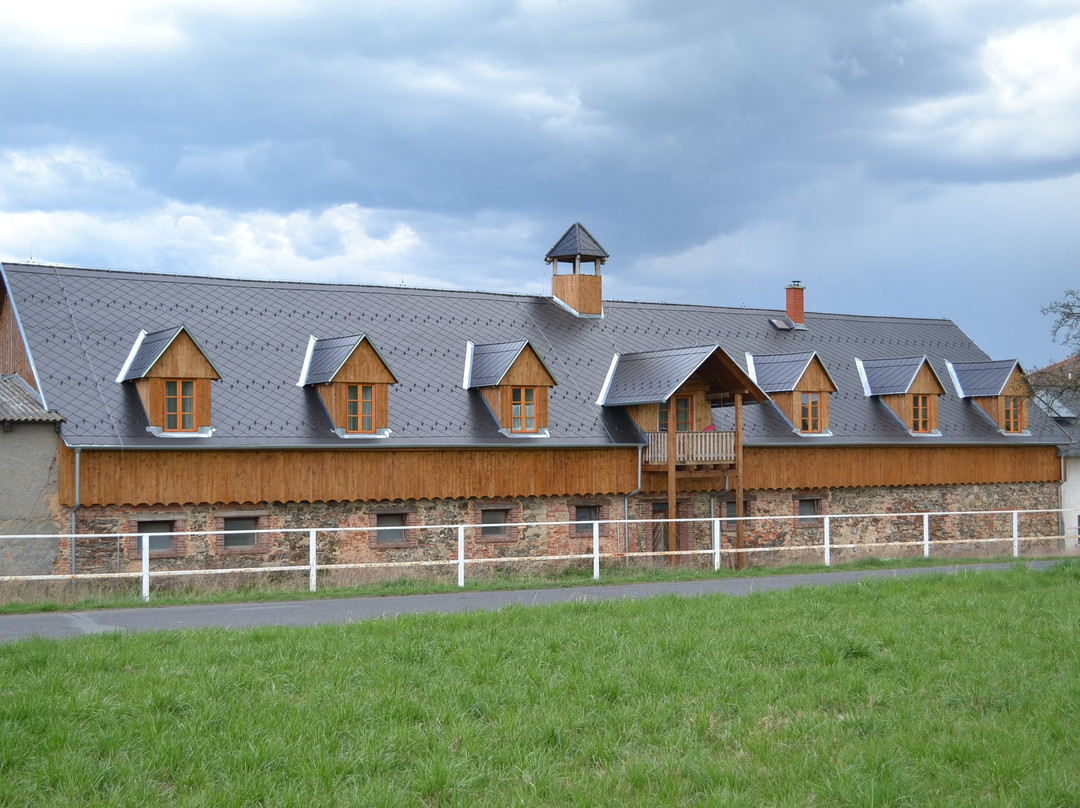 Cernosin酒店住宿-Penzion Dvur Krasikov