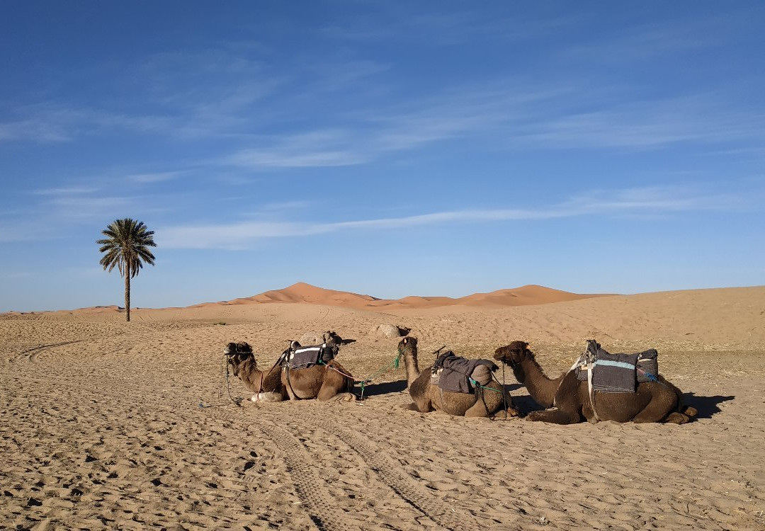 Dune Merzouga Camp景点图片