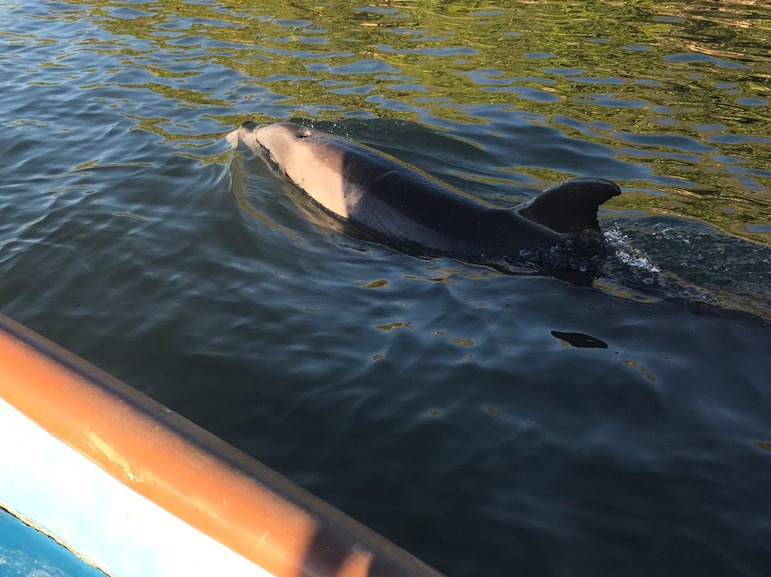 El Pechocho-Topolobampo必去景点