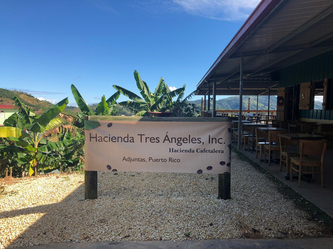 Hacienda Tres Angeles景点图片
