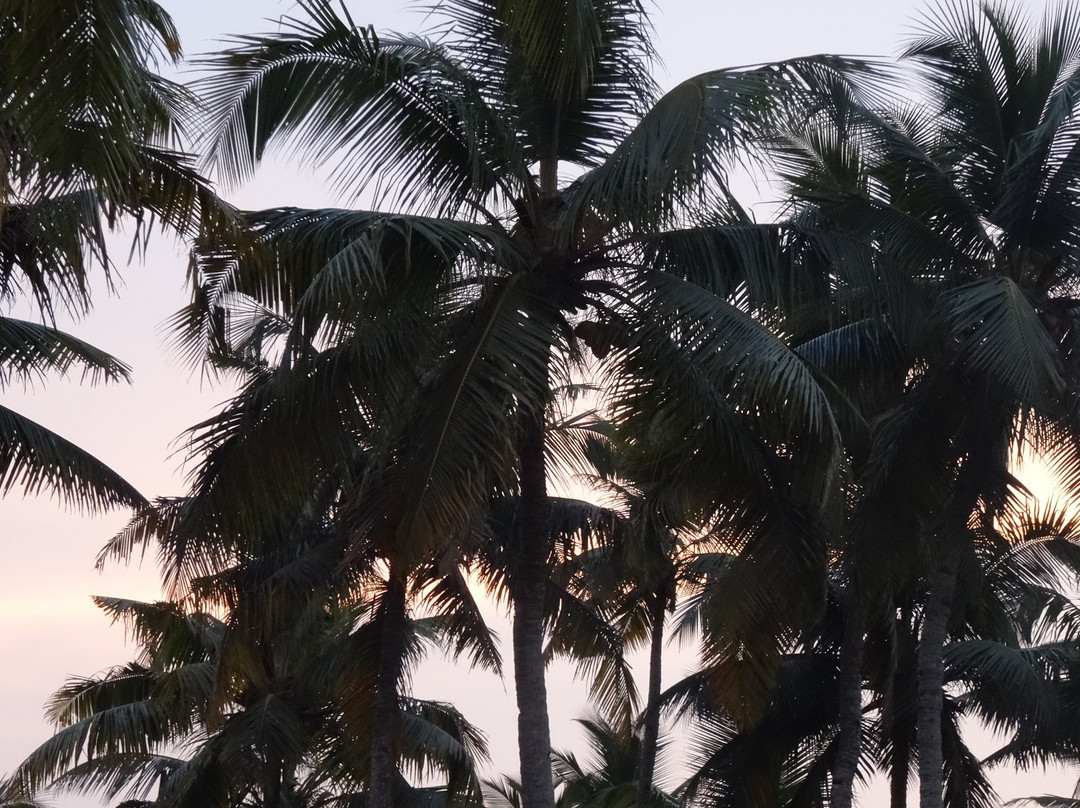 Blooming Bay - Clifftop Beach Resort主图