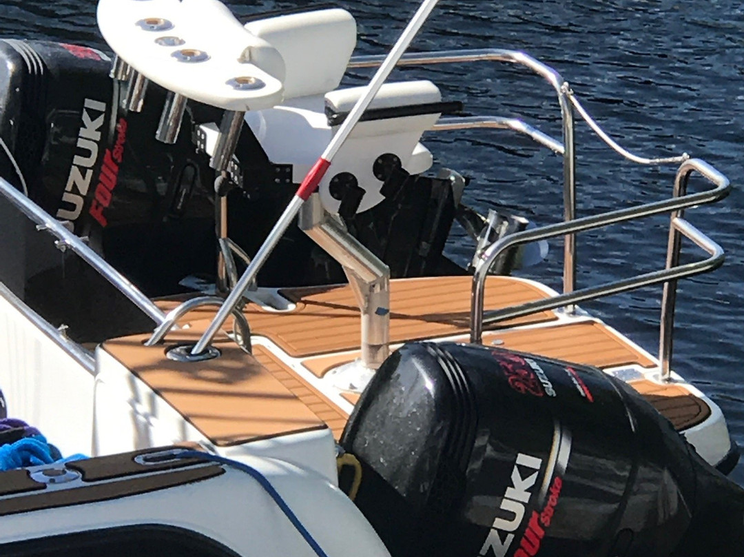 Double Agent Charters-伊斯拉摩拉达必去景点