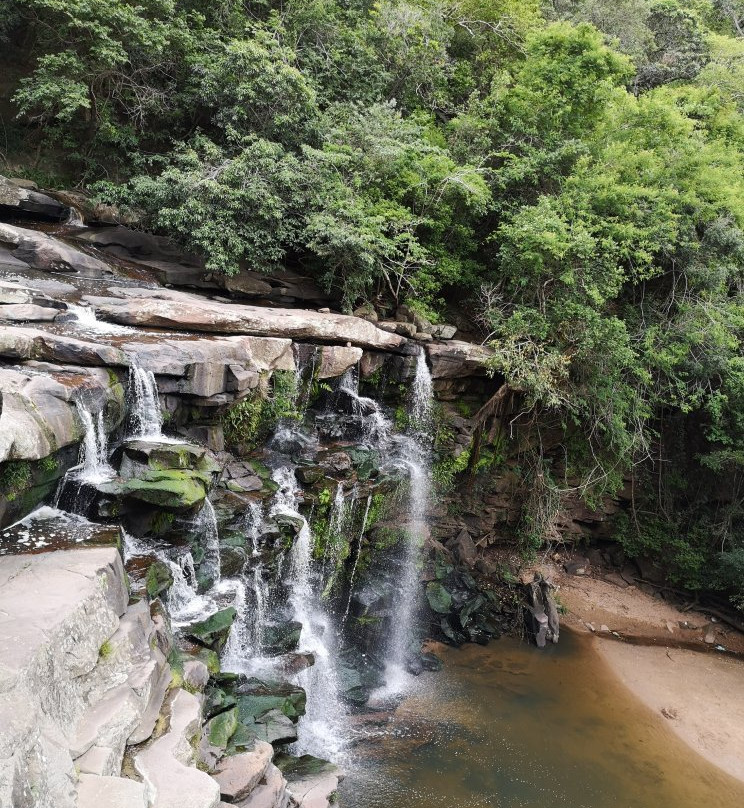 Paradise Valley Nature Reserve景点图片