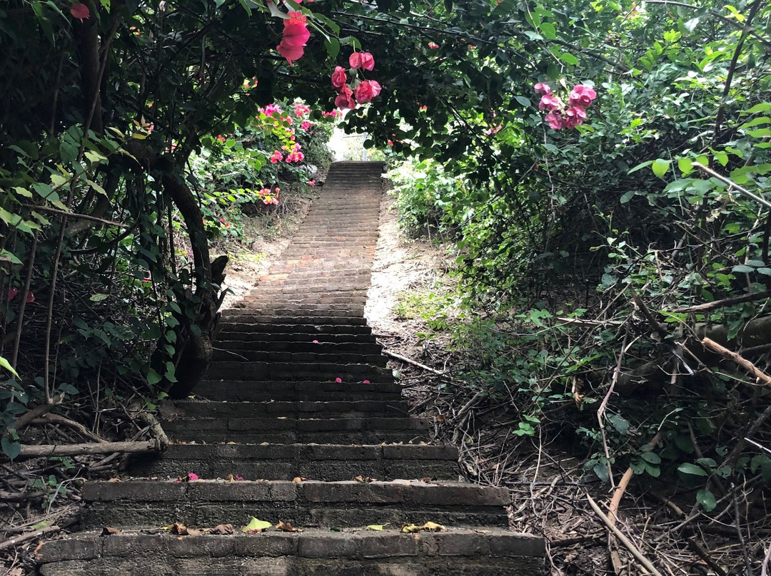 Hacienda de la Costa主图