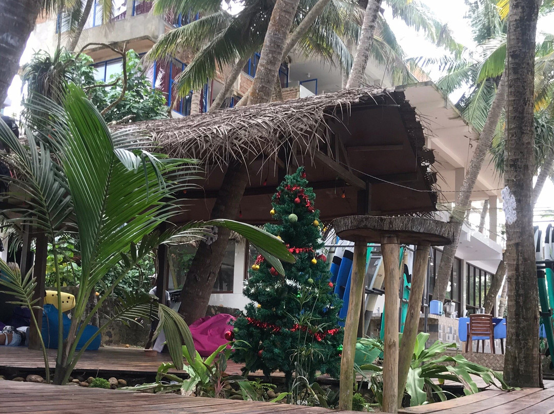 SurfDiscovery Sri Lanka Surf School景点图片