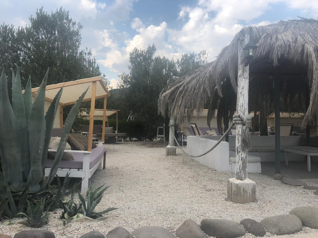Assos Club Beyaz主图