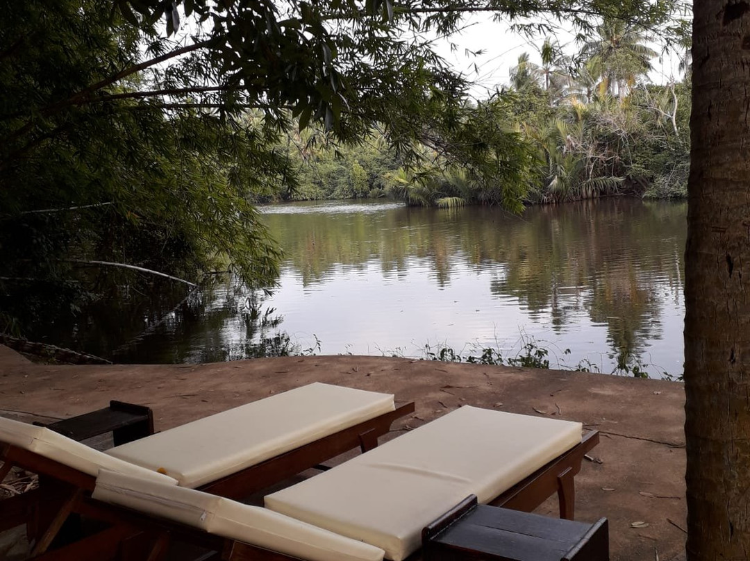 Ging Oya Lodge主图