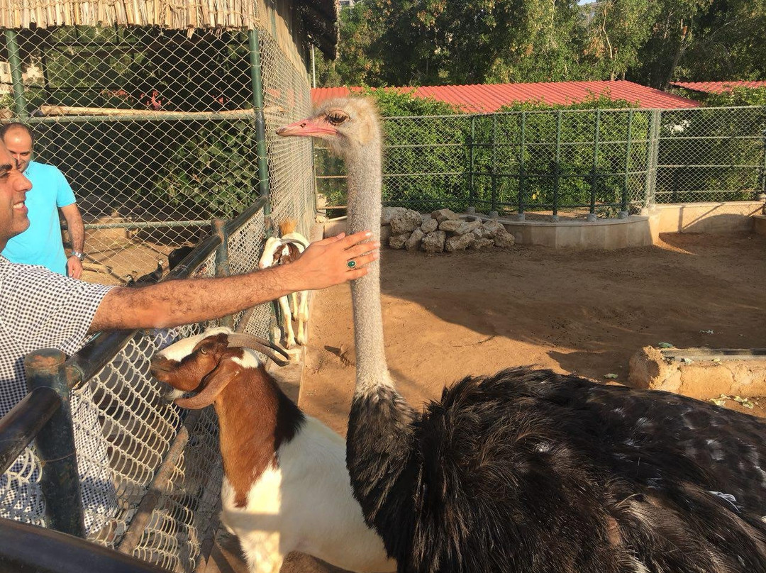 Flamingo Hotel主图