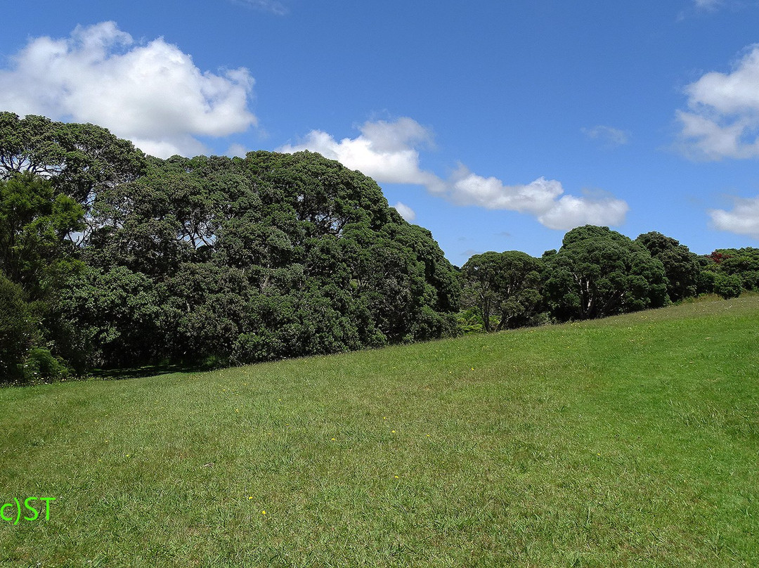 Awhitu Regional Park景点图片