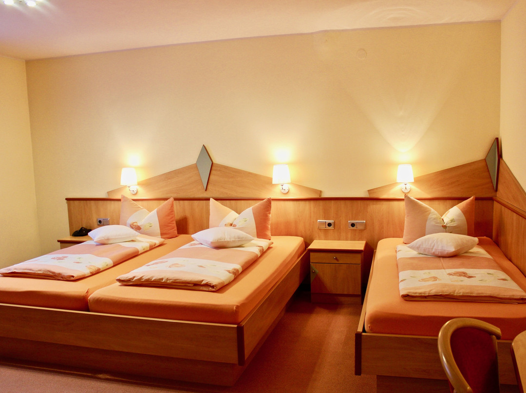 Gasthof-Hotel Zum Schwarzen Baren主图