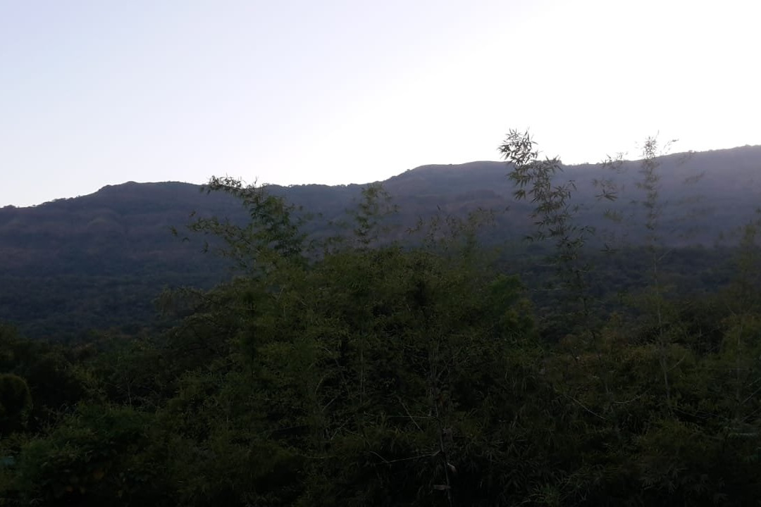 西林庄园度假及水疗中心希尔顿酒店主图