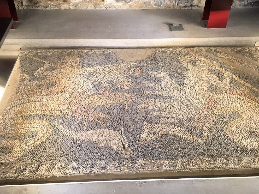Archaeological Museum of Chalkis-Khalkis必去景点