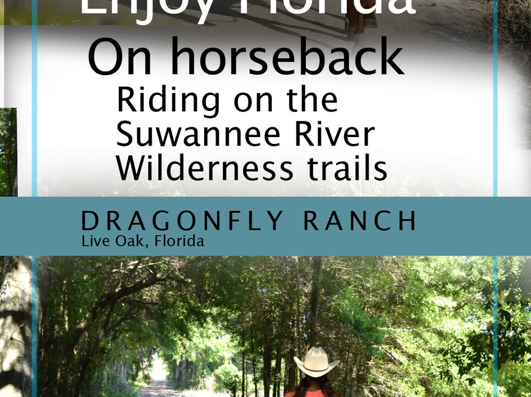 Dragonfly Ranch-Live Oak必去景点