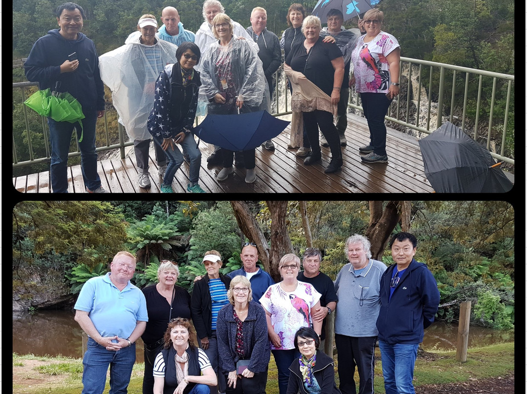 Australian Wild Harvest-伯尼必去景点