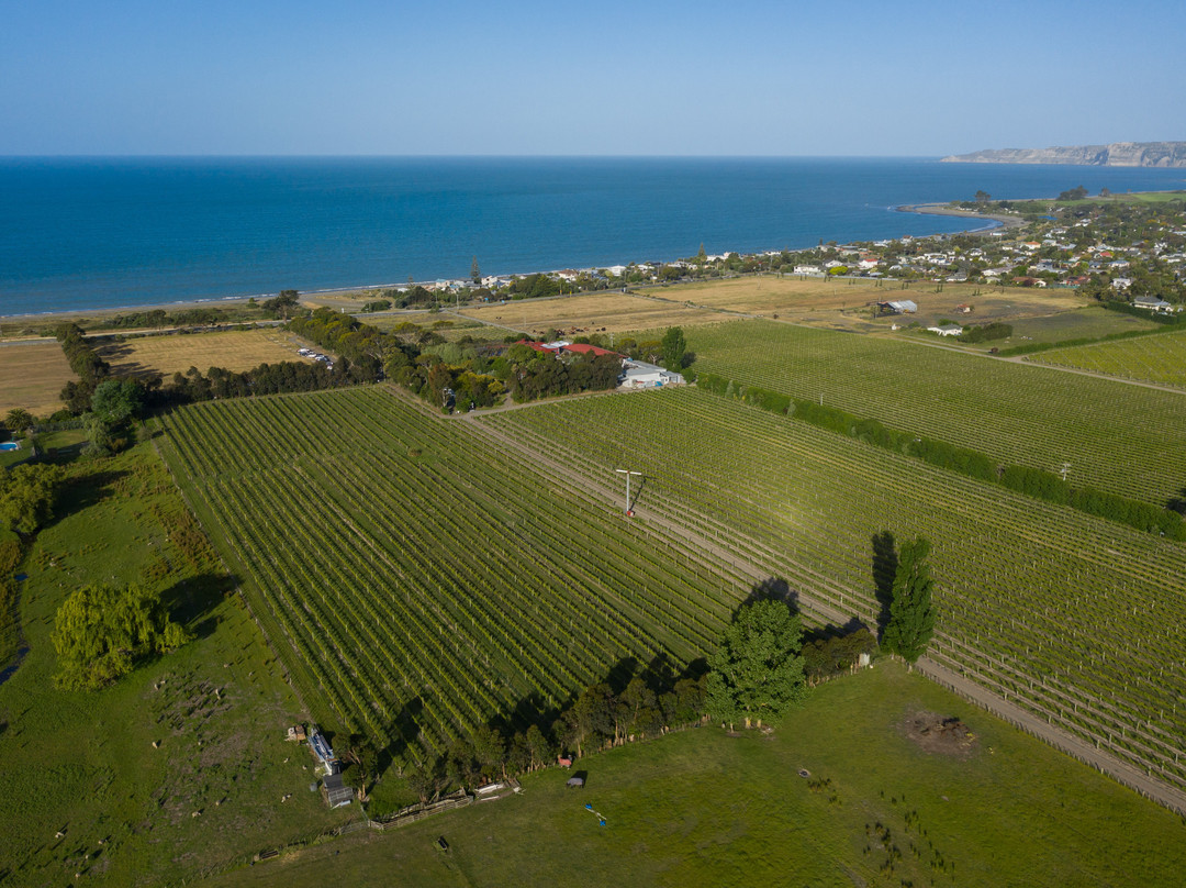 Clearview Estate Winery景点图片