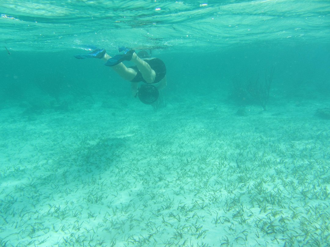 Webfooters Rentals-格雷斯湾必去景点