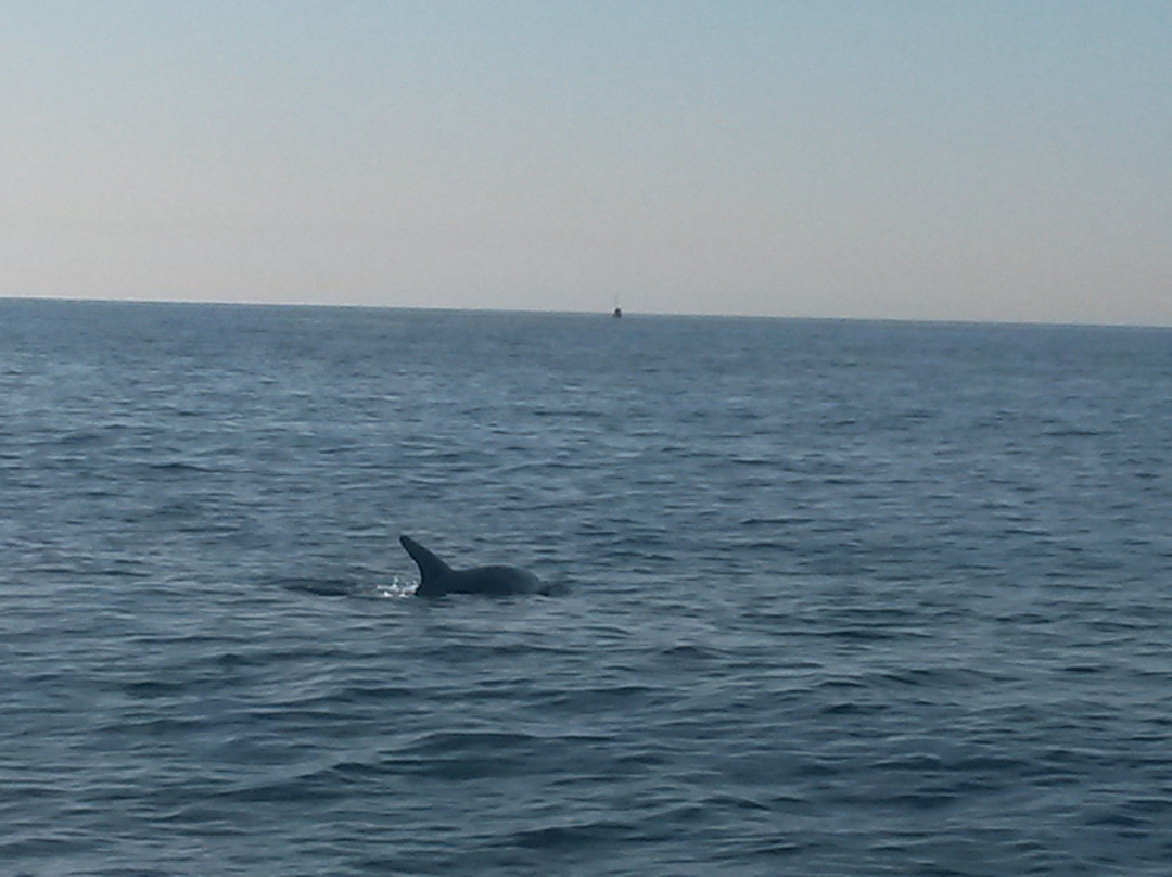 Subway Diving Centre-马赫迪耶必去景点