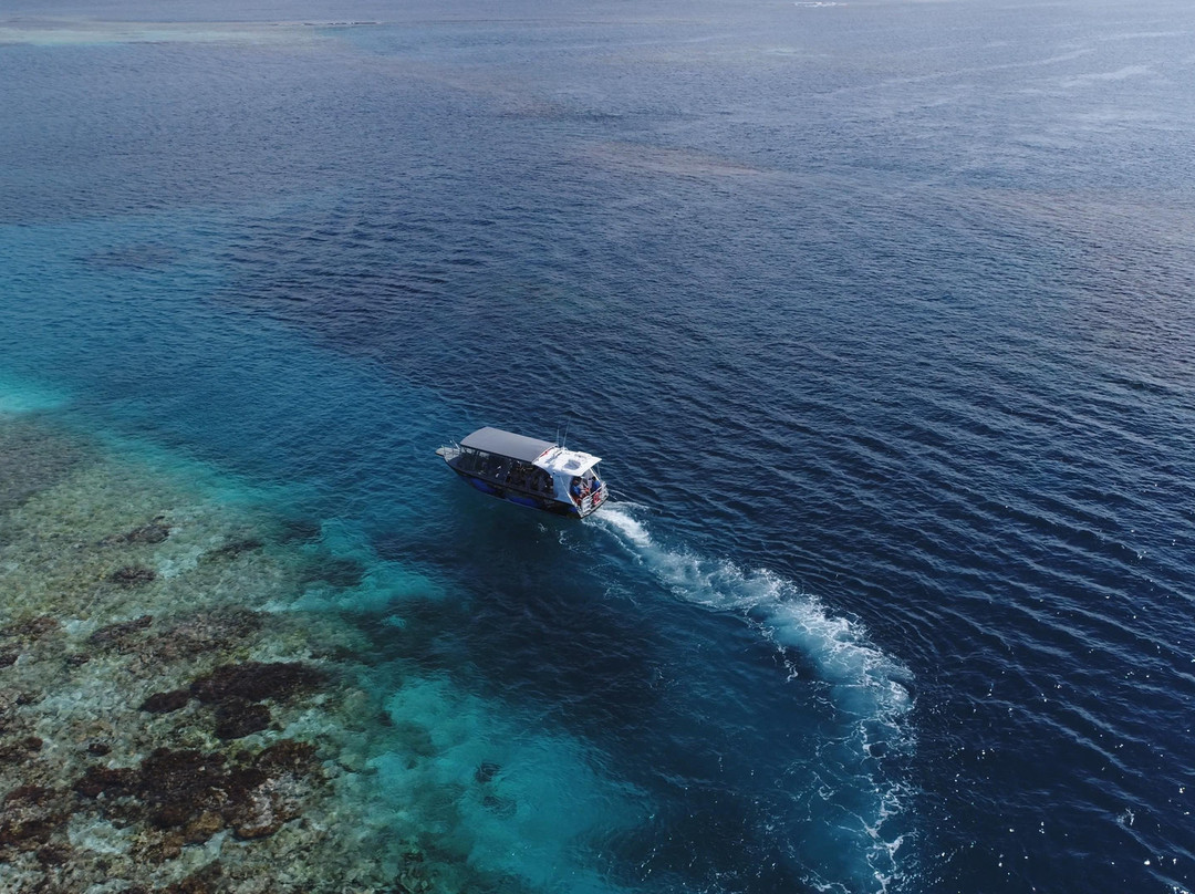 Piatella Glass Bottom Boat Tours-杰拉尔顿必去景点