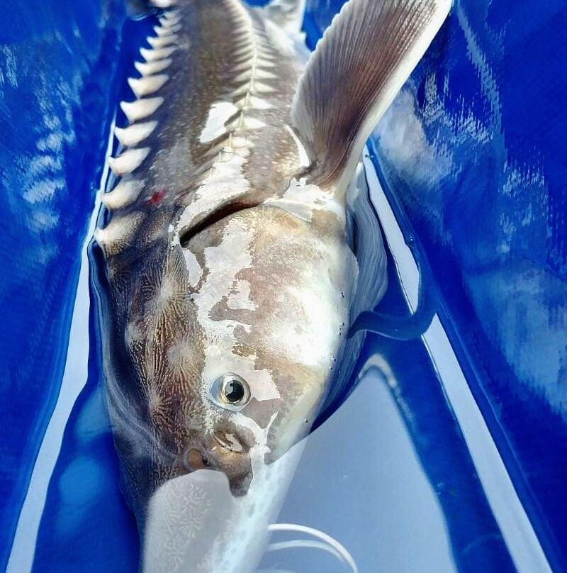 Cascade Fishing Adventures-奇利瓦克必去景点