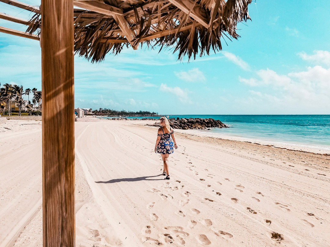 Port Lucaya Marina-弗里波特必去景点