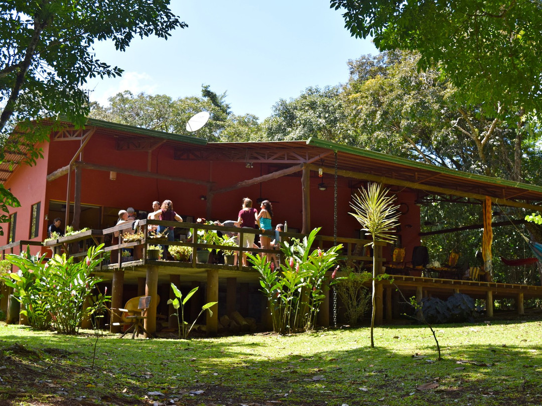 Living Forest Lodge & Retreat Center