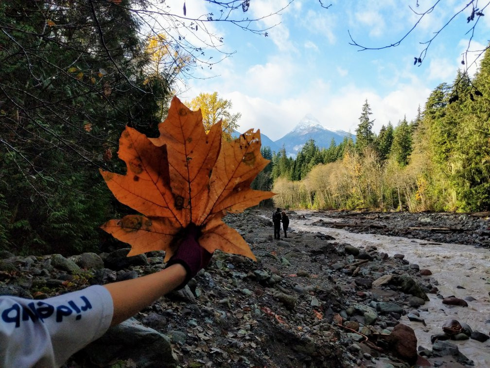 RideHub Bike Shop & Cafe-斯阔米什必去景点