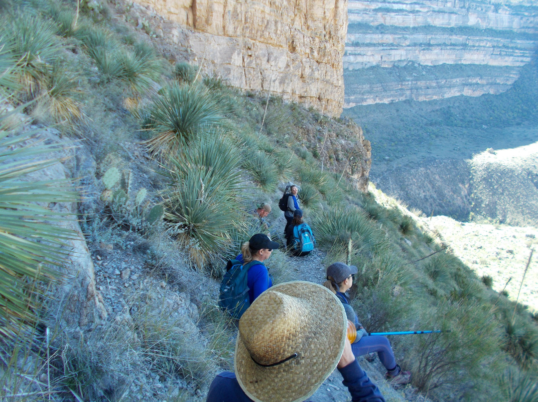 Dog Canyon Trail-阿拉莫戈多必去景点