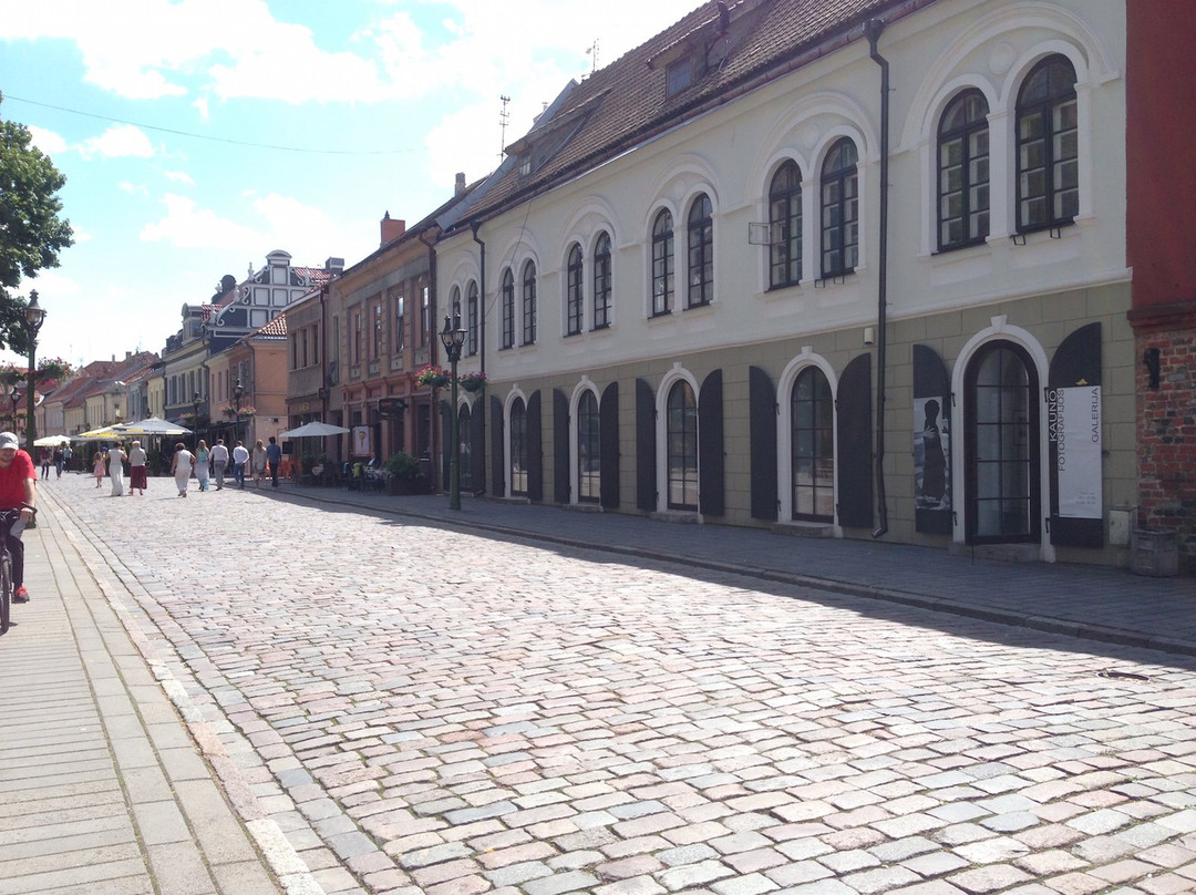Kaunas Photography Gallery-考那斯必去景点