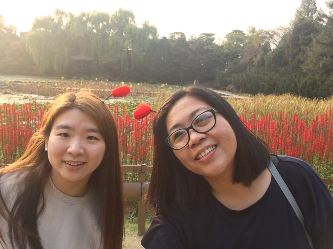 The Botanical Garden of BCJ-坡州市必去景点
