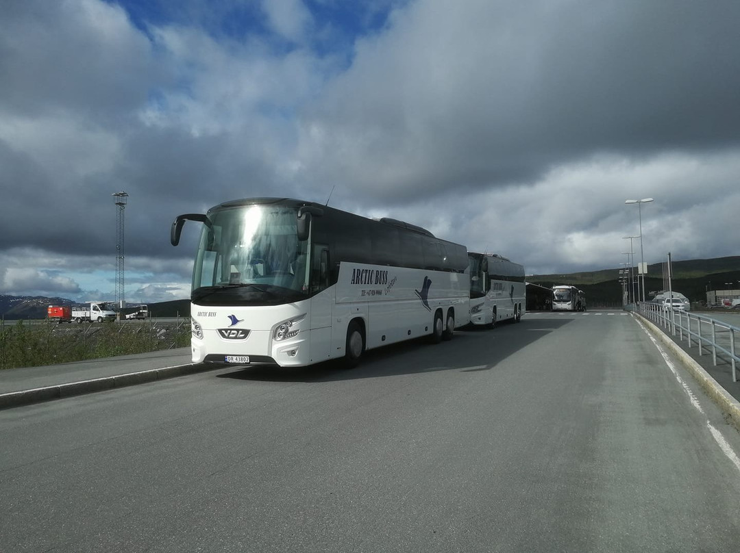Arctic Buss Lofoten景点图片