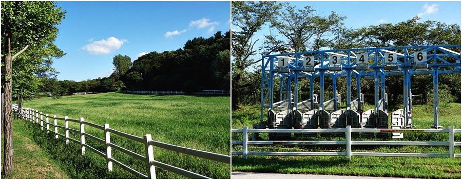 Wondang Jongma Mokjang-高阳市必去景点