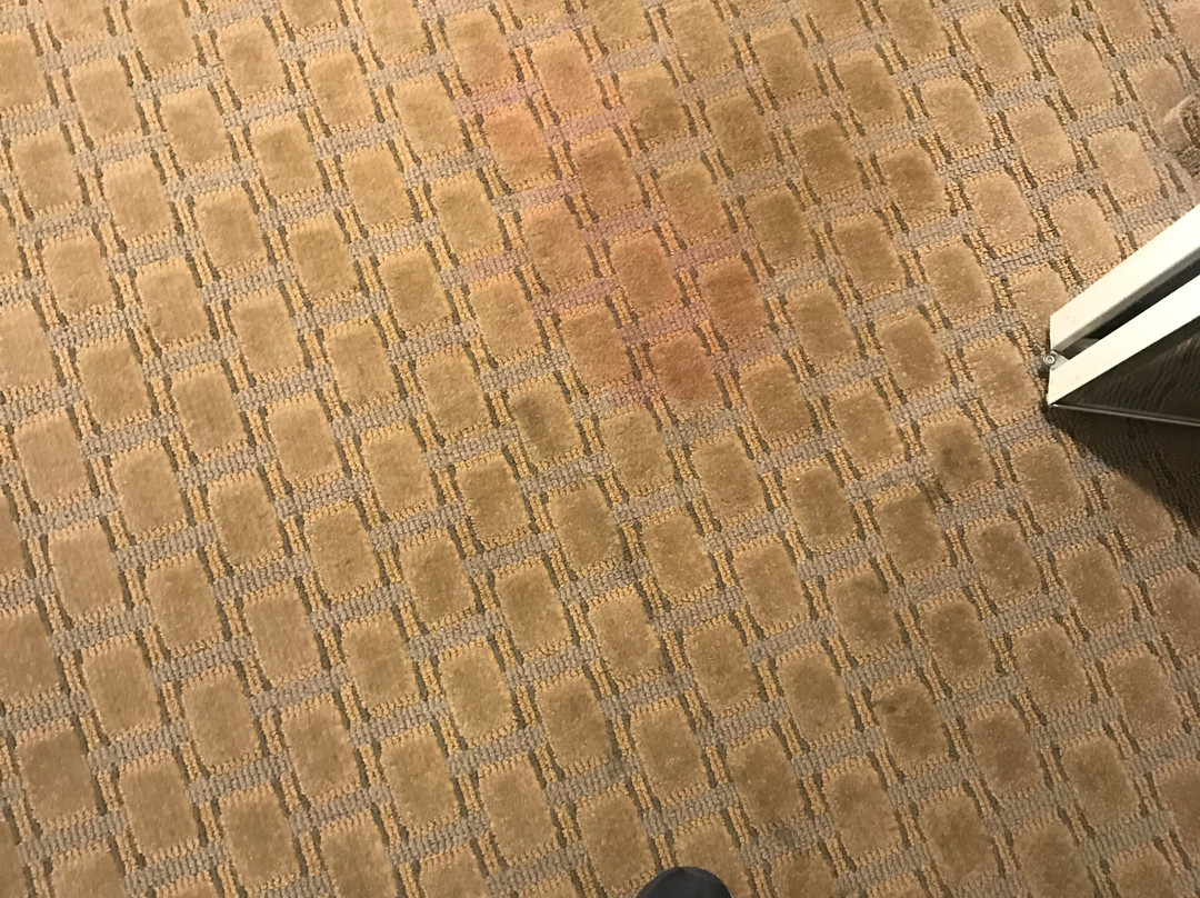 Radiance Inn And Suites主图