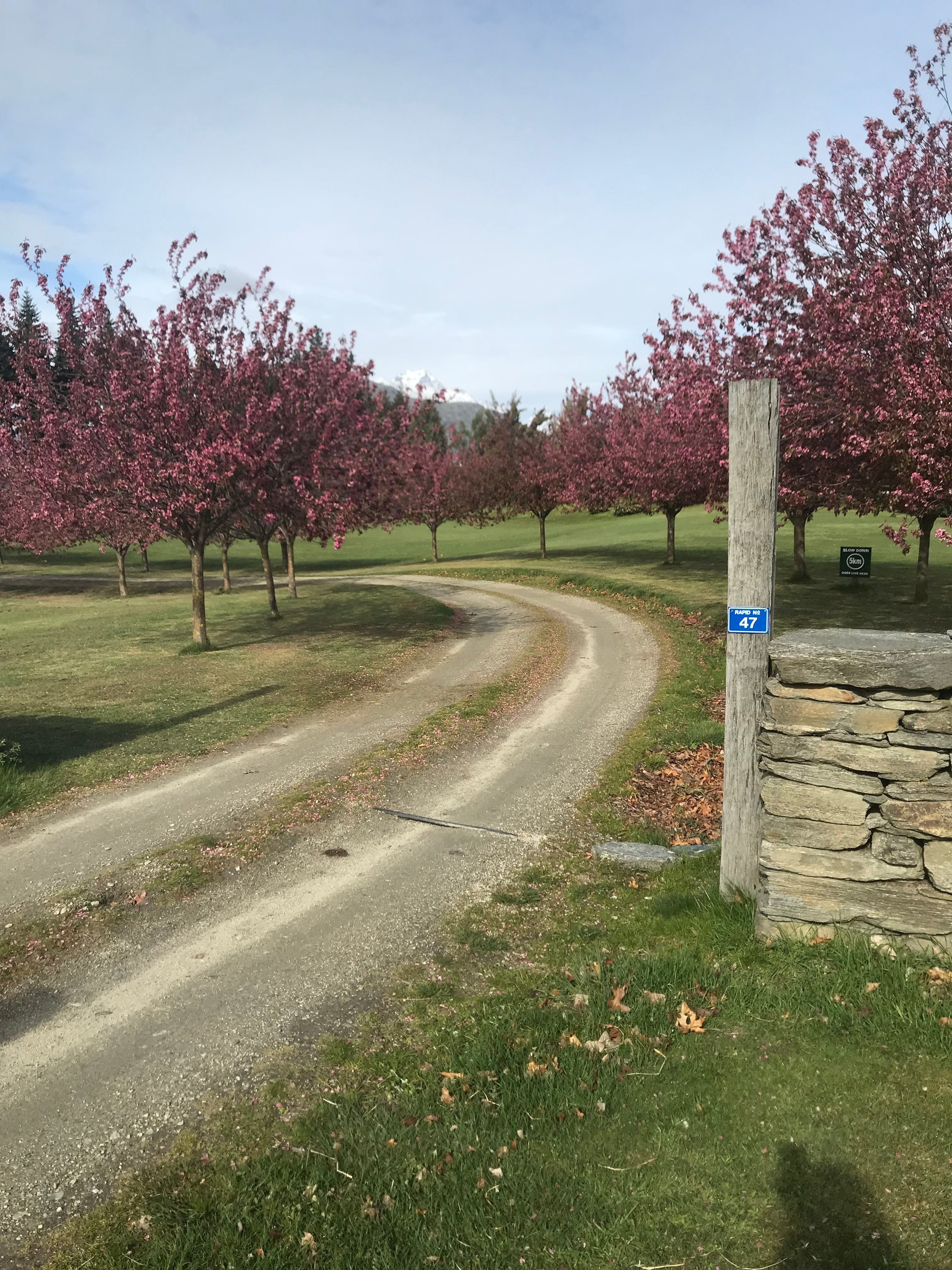 Laurel Bank House-官方