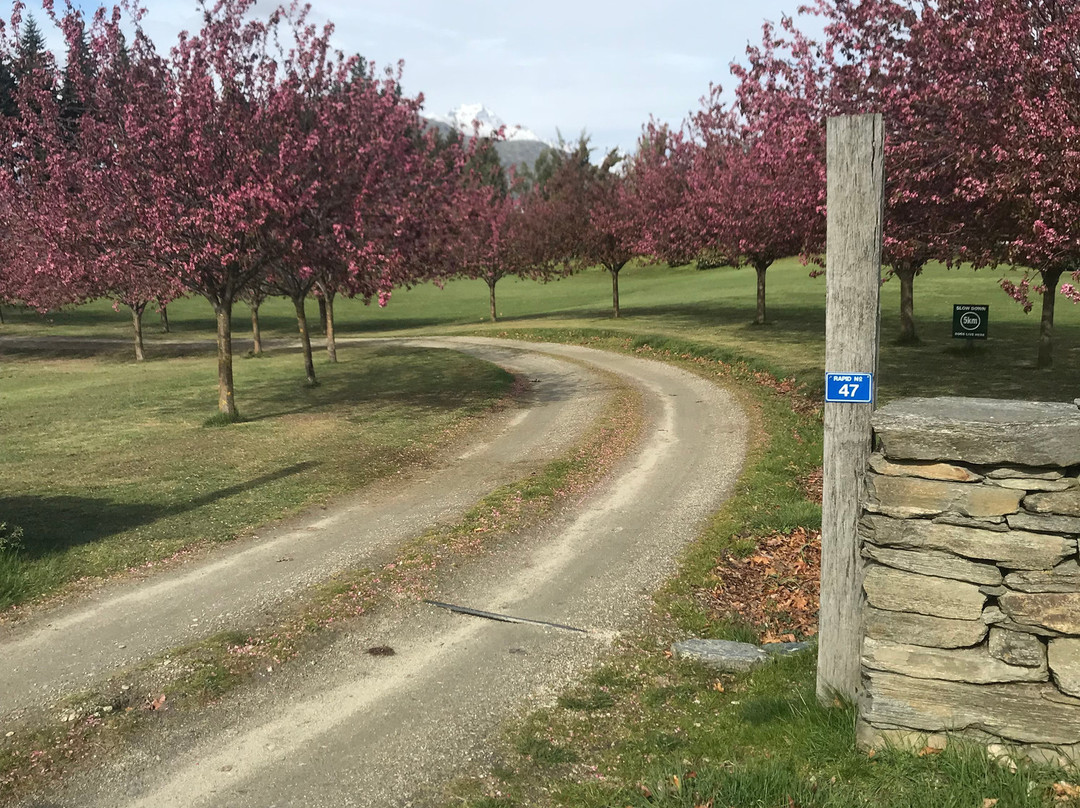 Laurel Bank House主图