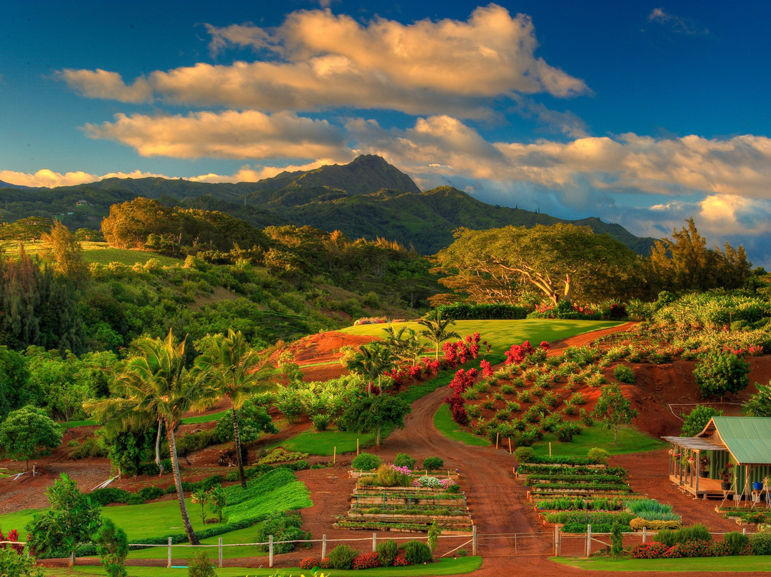 Hi Hawaii Travel-火奴鲁鲁必去景点