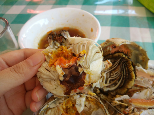 莲花岛-苏州市必去景点