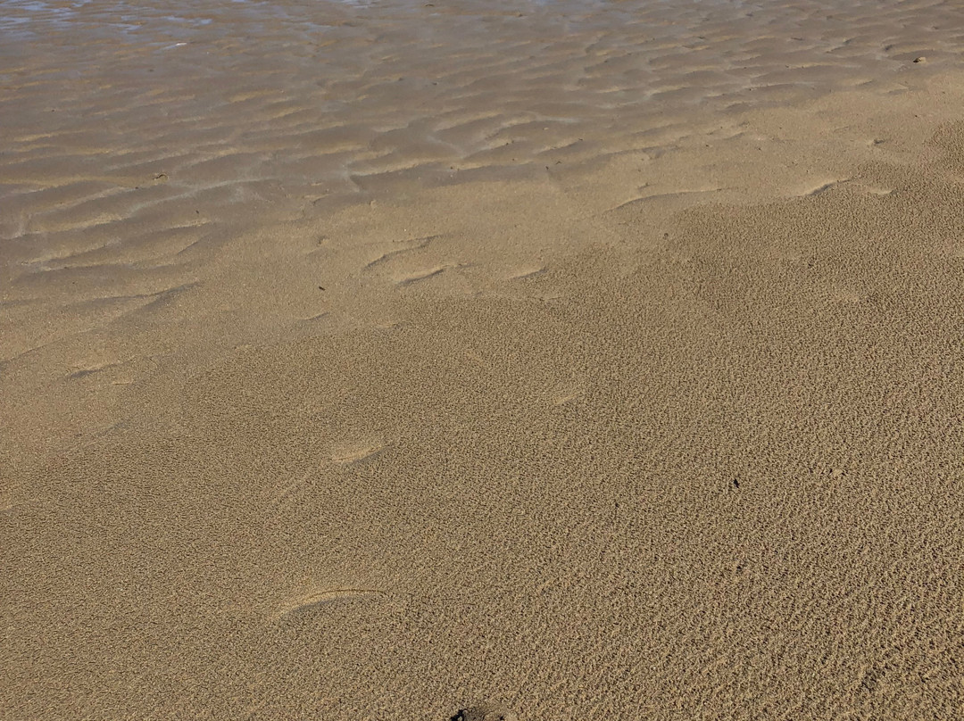 Murray Mouth-Goolwa必去景点