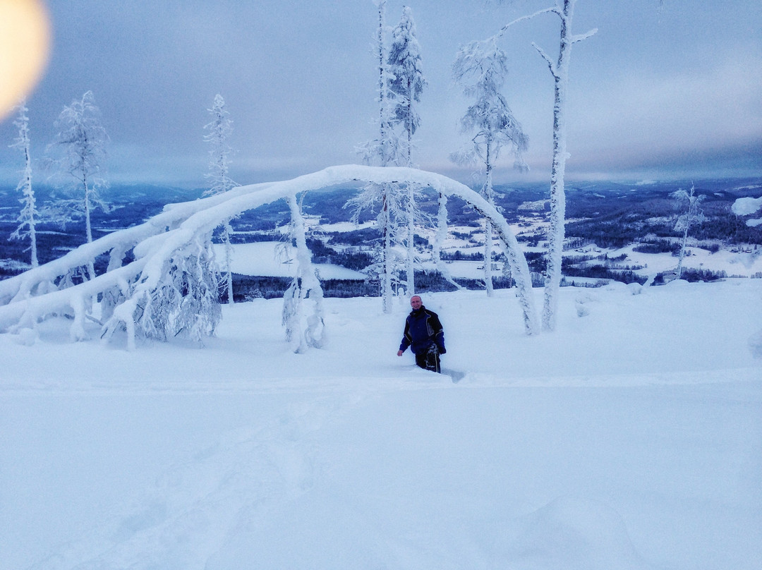 Sweden Adventure tours-Hammarstrand必去景点