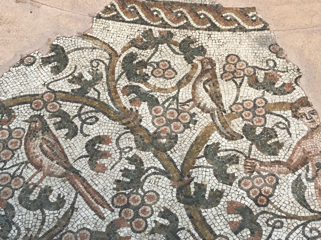 Mosaico Tardoantico-特雷维索必去景点