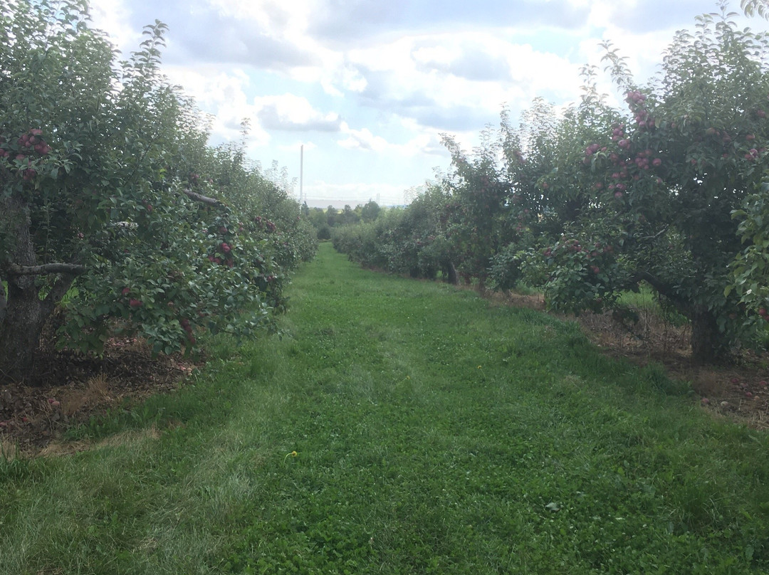 The Big'r Apple Farm景点图片