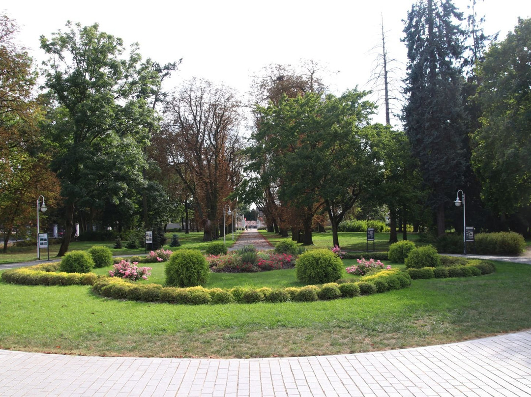 Palace and Park Complex in Sanniki景点图片