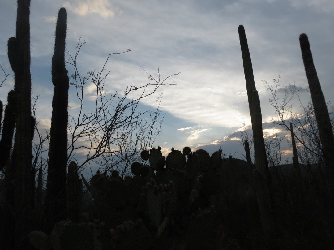 Bio Fan-Tehuacan必去景点