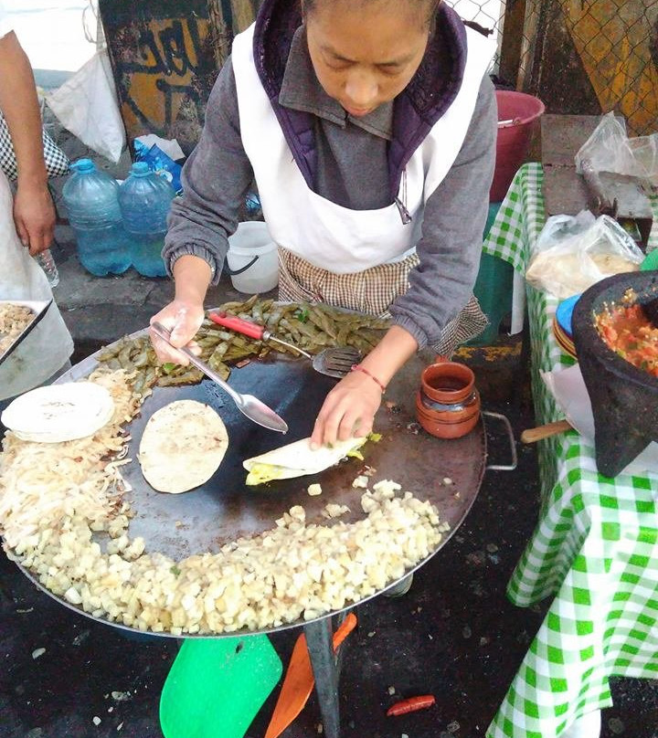 Travelling Herbivore-墨西哥城必去景点