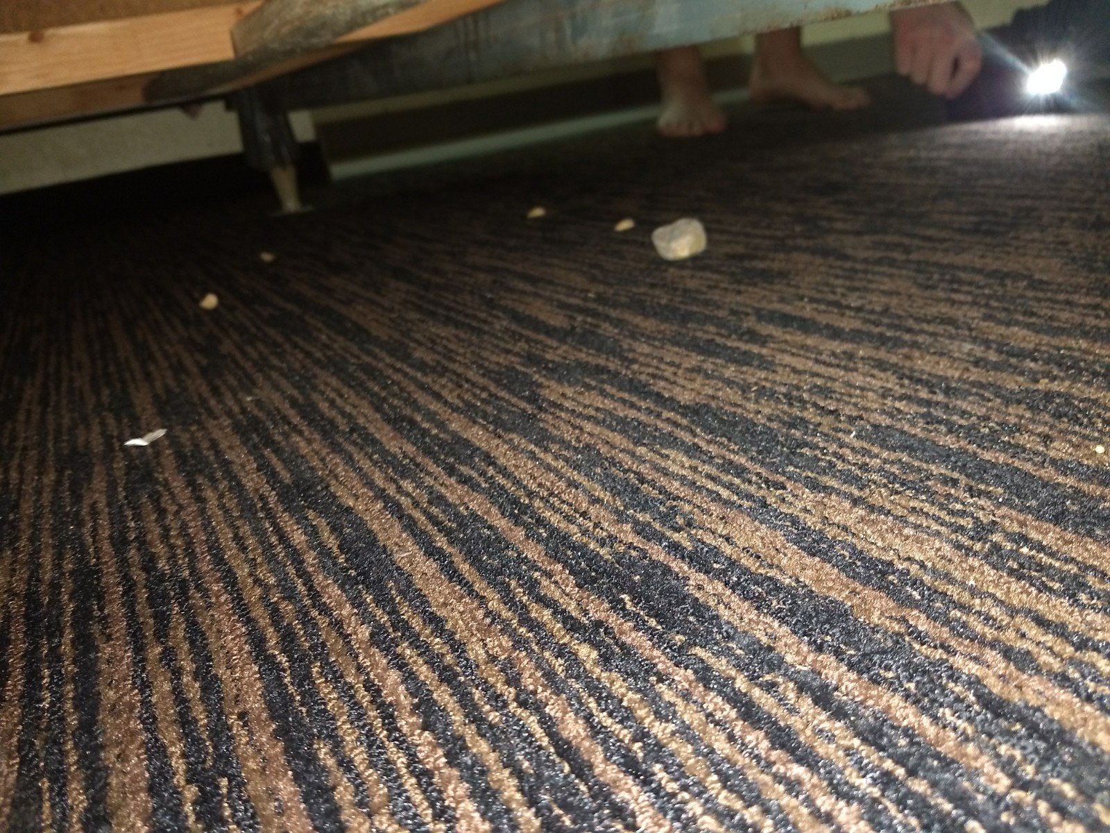 Motel 6 Burnsville, MN-浴室