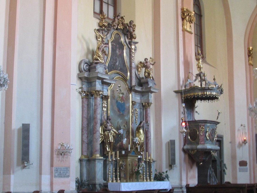 The Virgin Mary's Assumption Church-Celje必去景点