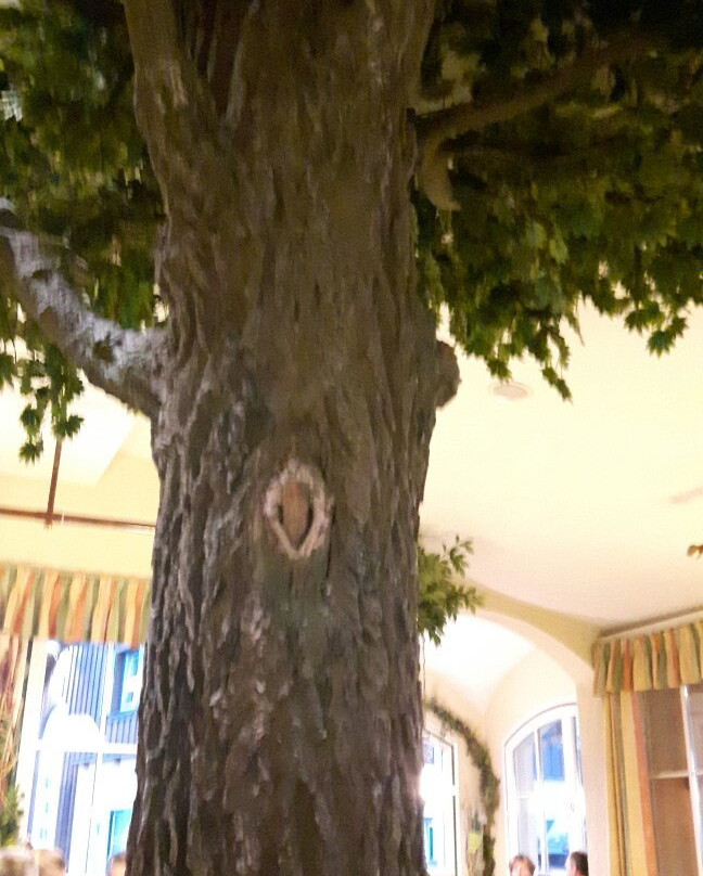 基希比希尔酒店主图