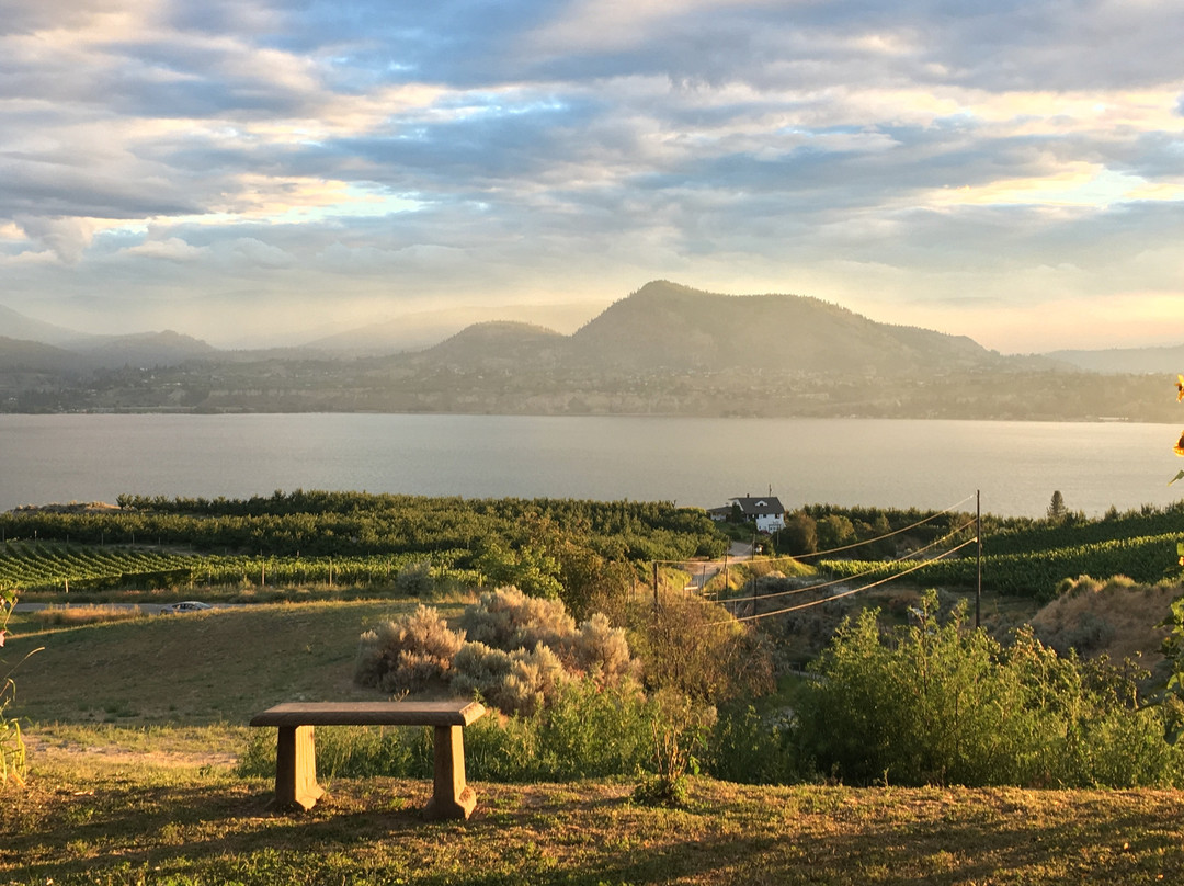 Sutherland Blueberry Bed & Breakfast主图